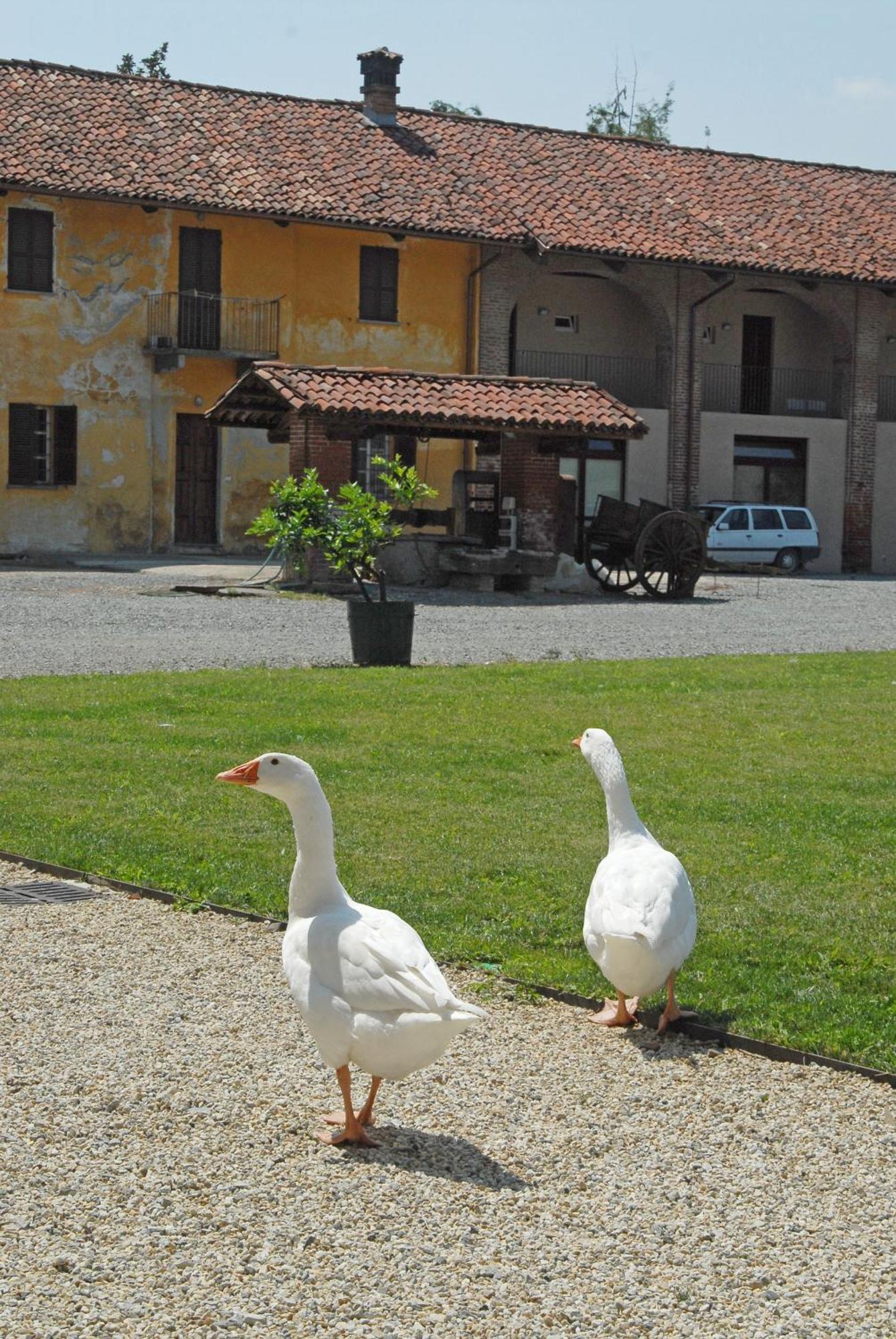 Hotel Antico Podere Propano サルッツォ エクステリア 写真